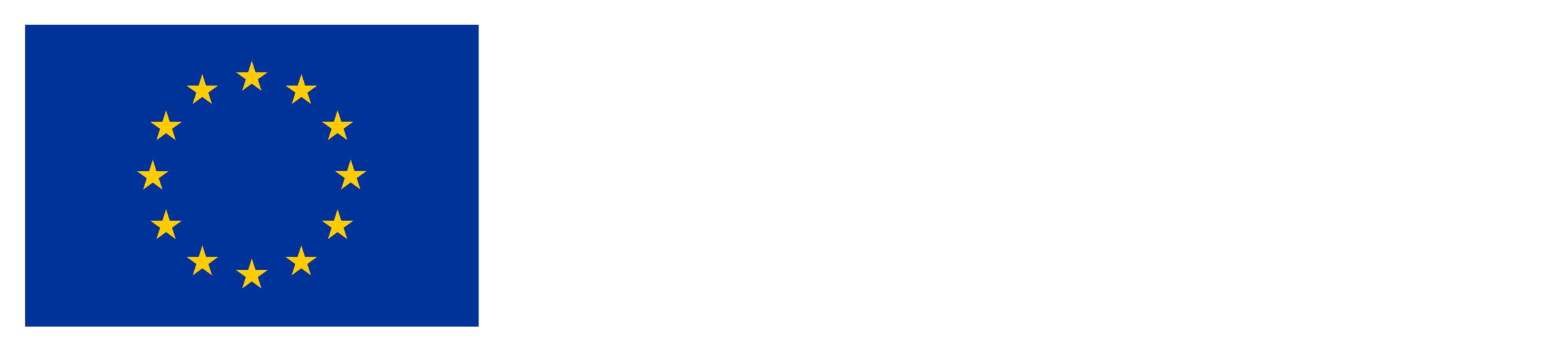 Co-funded by the European Union