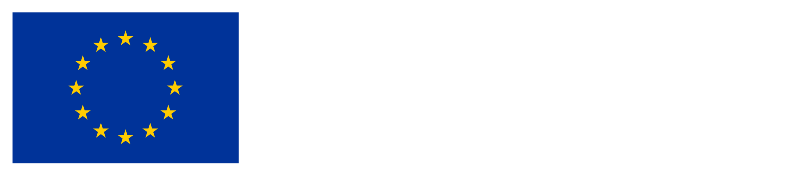 Co-funded by the European Union
