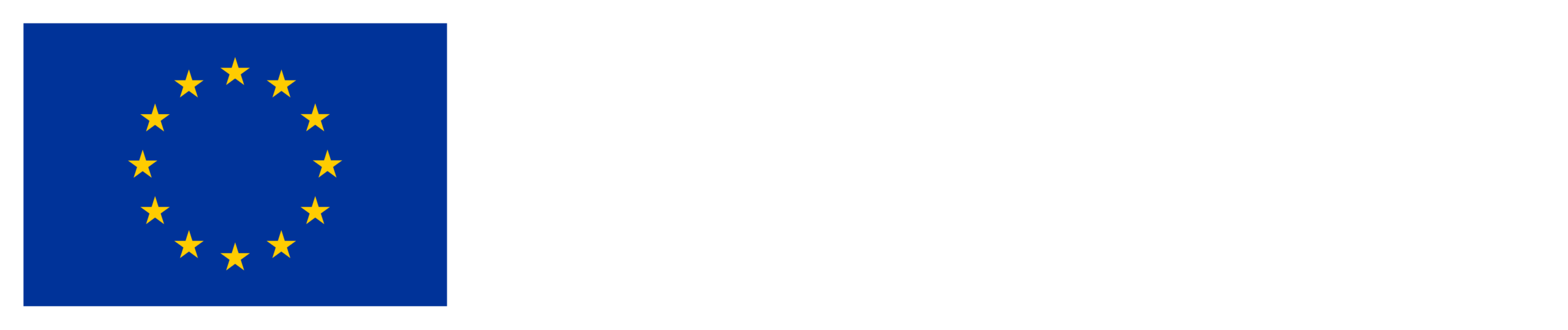 Co-funded by the European Union