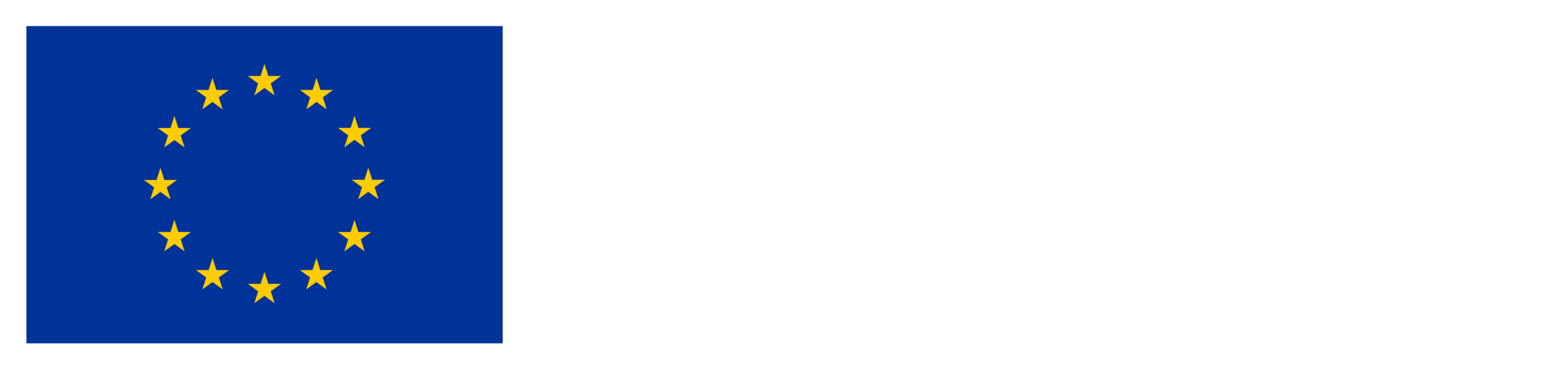 Co-funded by the European Union
